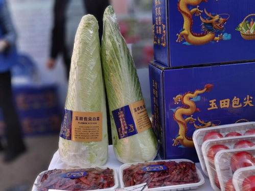 京冀合作再添51家环京蔬菜生产基地 深化食用农产品初加工布局