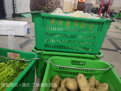 厦门市同安区蔬菜配送及9月农产品供需形势与食用农产品初加工分析