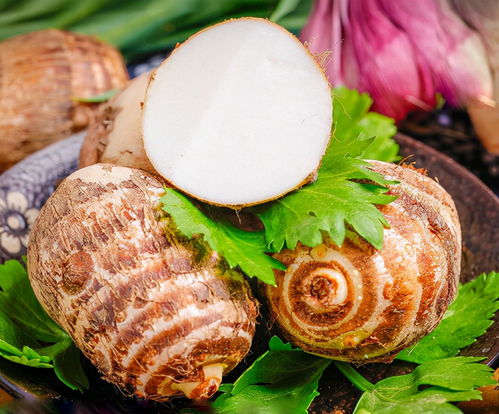 5G优选 赋能食用农产品初加工，为农户开启高效卖货新通路