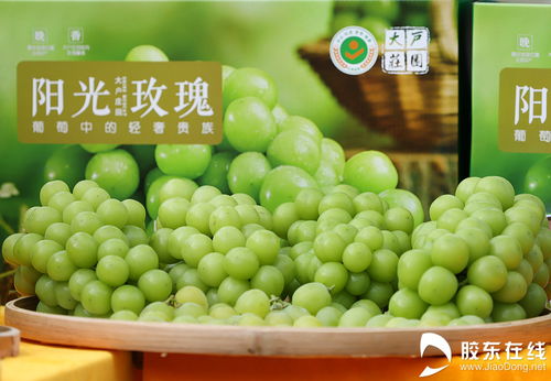 丰收节里看烟台 特色农产品展与初加工新貌