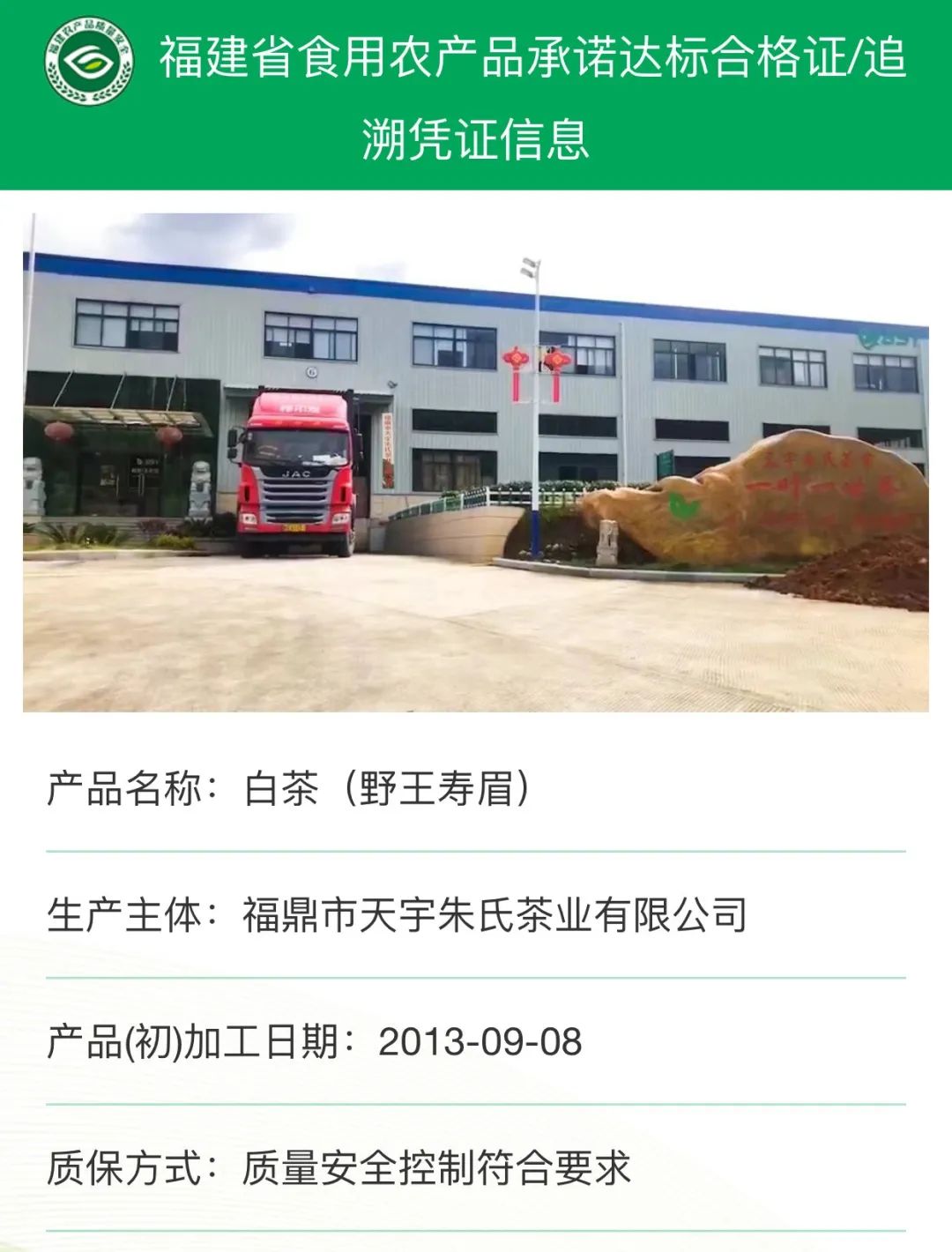 品味白茶入门之道 为何从寿眉喝起与初加工之妙